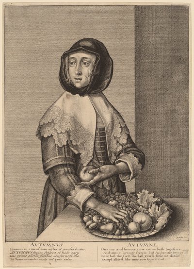 Herbst von Wenceslaus Hollar
