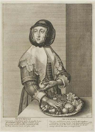 Herbst von Wenceslaus Hollar