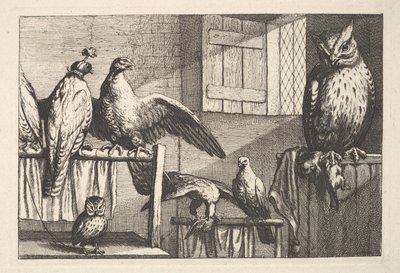 Falken und Eulen von Wenceslaus Hollar