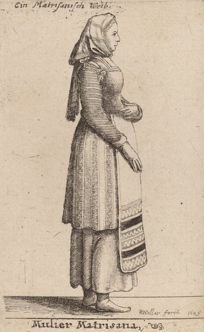 Mulier Matrisana, 1649 von Wenceslaus Hollar