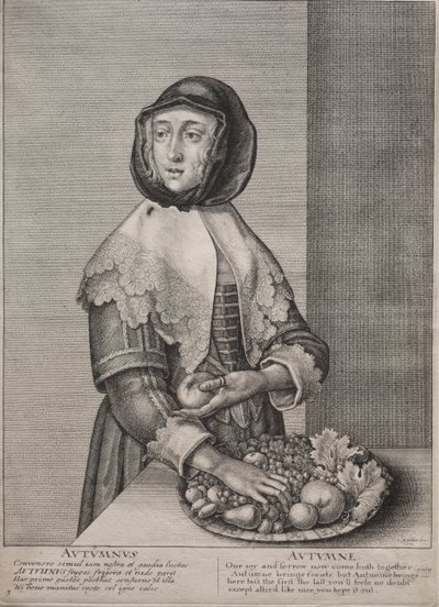 Die vier Jahreszeiten: Herbst von Wenceslaus Hollar