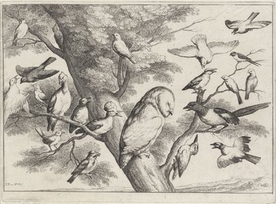 Vögel in einem Baum von Wenceslaus Hollar