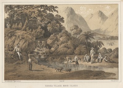 Kanaka-Dorf Bonin-Inseln, 1855 von Wilhelm Joseph Heine
