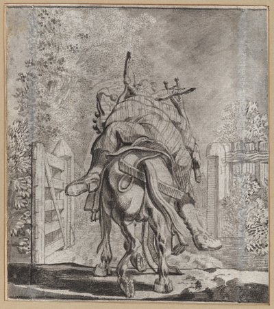 Der unvorsichtige Narr von Wilhelm Stettler