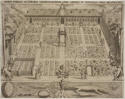 Der Botanische Garten in Leiden von Willem Isaaksz Swanenburgh