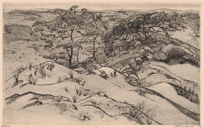 Duinlandschaft von Willem Jansen (graveur) (signed by artist)