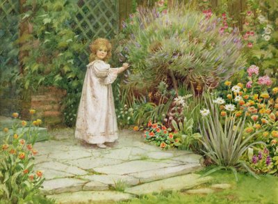 Mein Garten von William Ashburner