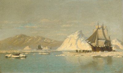 Vor Grönland—Walfänger sucht offenes Wasser von William Bradford