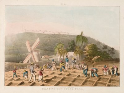 Zuckerrohrpflanzung, um 1820 von William Clark