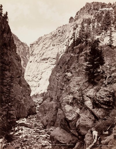 Toltec-Schlucht und Tunnel von William H. Jackson