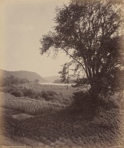 Malerisches Susquehanna, bei Laceyville von William H. Rau