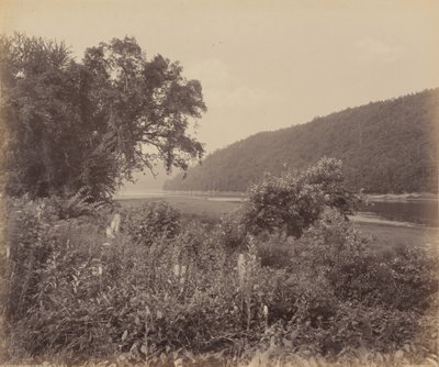 Der Susquehanna bei Wyalusing von William H. Rau