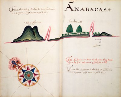 Anabacas von William Hack