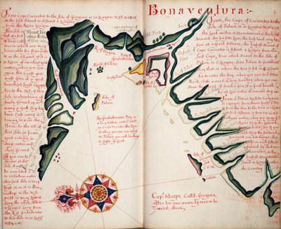 Bonaventura von William Hack