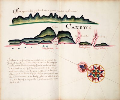 Canette von William Hack
