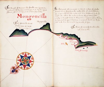 Mongoncilla von William Hack