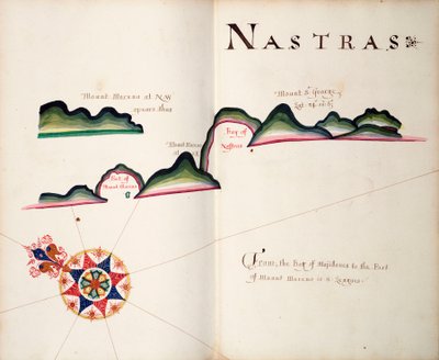 Nastras, südamerikanische Pazifikküste von William Hack