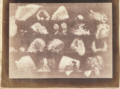 Das Schaufenster der Modistin von William Henry Fox Talbot