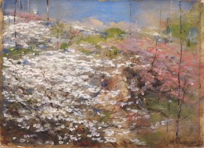 Blumenfeld von William Henry Holmes