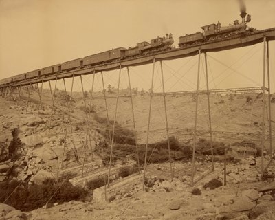 Dale Creek Brücke von William Henry Jackson