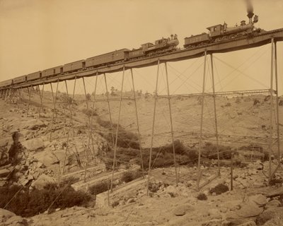 Dale Creek Brücke, Union Pacific Railway von William Henry Jackson