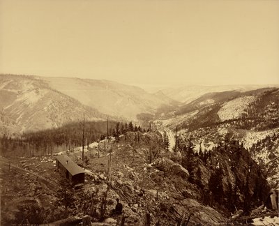 Los Pinos Tal, Blick nach Osten von William Henry Jackson