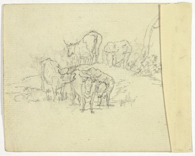 Vieh (recto); Der Scharlatan (verso) von William Henry Pyne