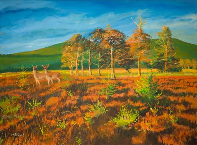 bei Aviemore, Schottland von William Ireland