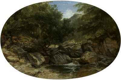 Felsiger Bach bei Lynmouth von William James Muller