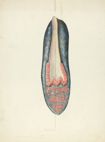 Abendschuh von William Kieckhofel