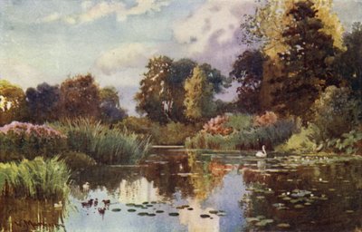 Der See im Botanischen Garten von William Matthison