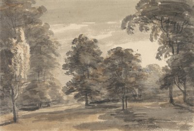 Eine Lichtung im Wald von William Pars