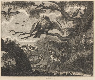 Der Geier, der Spatz und andere Vögel von William Skelton