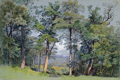 Coppet, Genfersee von William Stanley Haseltine
