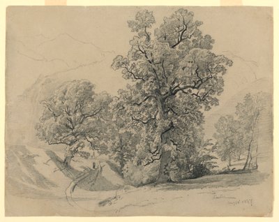Landschaft, Lauterbrunnen, Schweiz von William Trost Richards