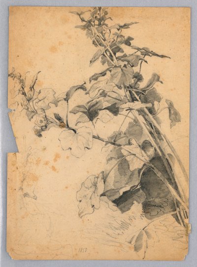 Studie von Laub von William Trost Richards