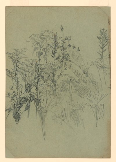 Studie von Laub von William Trost Richards