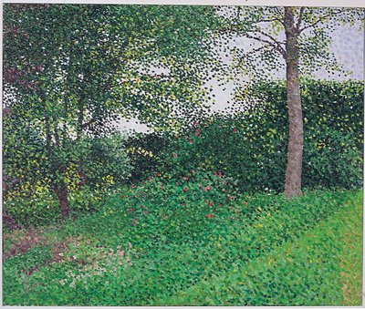Abendlicht: Junge Esche von William Wilkins