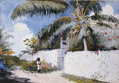 Ein Garten in Nassau, 1885 von Winslow Homer