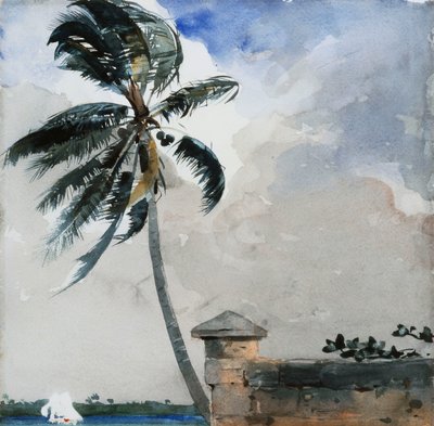 Eine tropische Brise, Nassau, 1889-90 von Winslow Homer