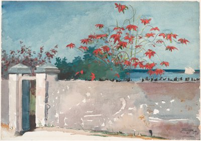 Eine Mauer, Nassau von Winslow Homer
