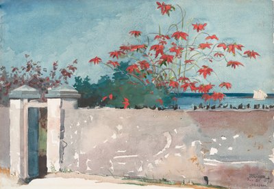Eine Wand, Nassau, 1898 von Winslow Homer