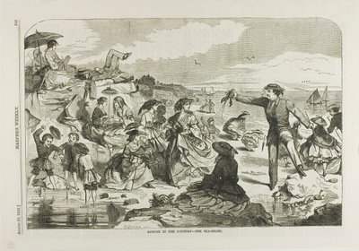 August auf dem Land - Die Küste von Winslow Homer