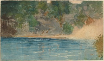 Blauer Frühling, Florida von Winslow Homer