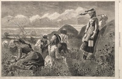 Beeren sammeln, 1874 von Winslow Homer