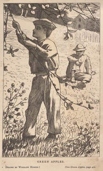 Grüne Äpfel von Winslow Homer