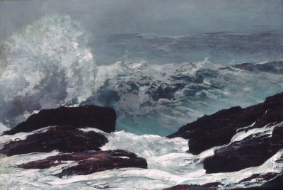 Küste von Maine von Winslow Homer