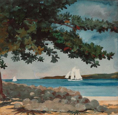 Nassau: Wasser und Segelboot, 1899 von Winslow Homer