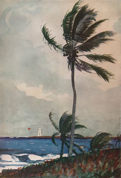 Palmen, Nassau, 1898, 1932 von Winslow Homer