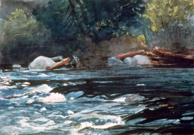 Stromschnellen, Hudson River, 1894 von Winslow Homer